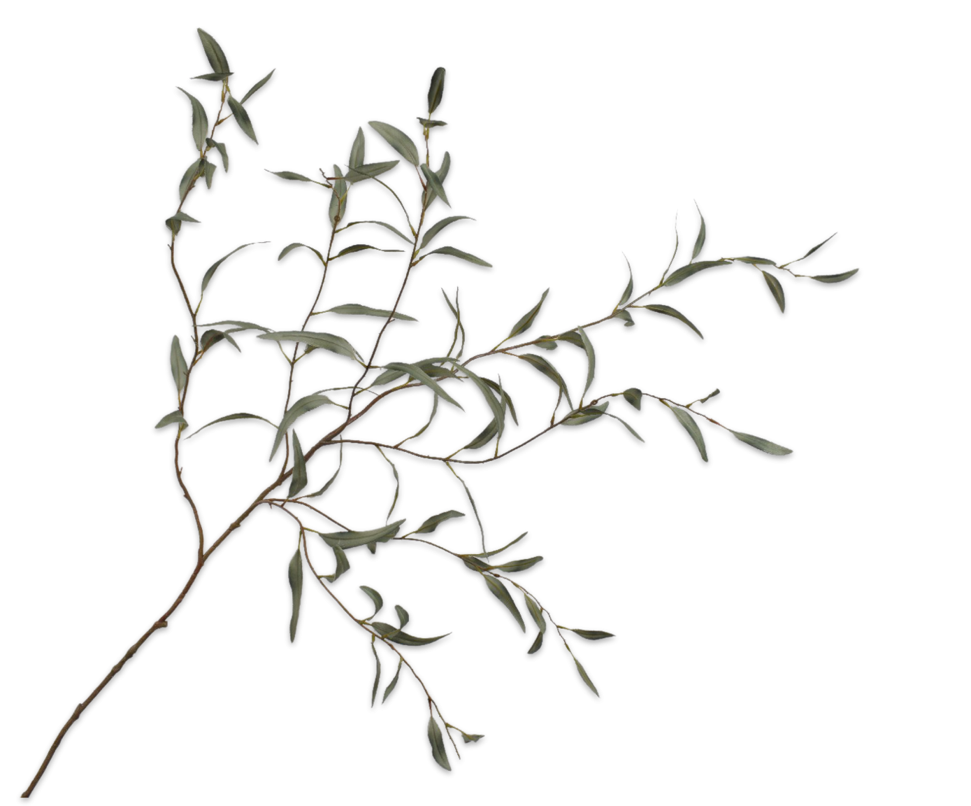 Eucalyptus tak groen 123 cm Silk-ka