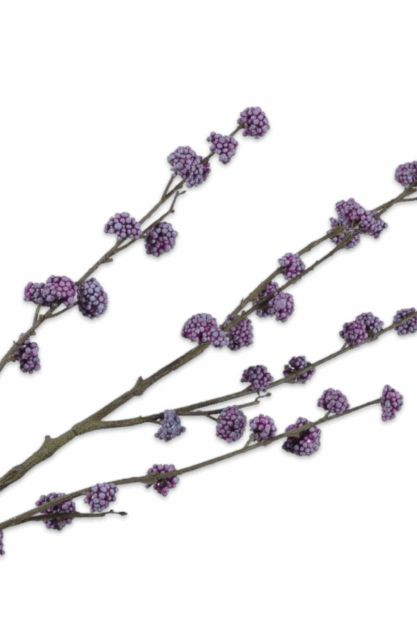 Callicarpa tak licht paars 135 cm Silk-ka