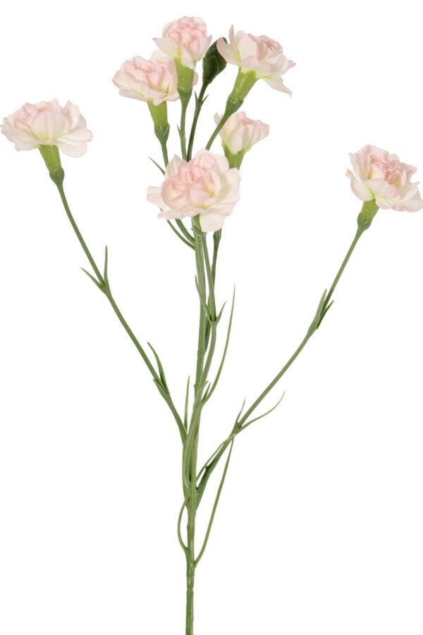 Anjer lichtroze -H63 cm