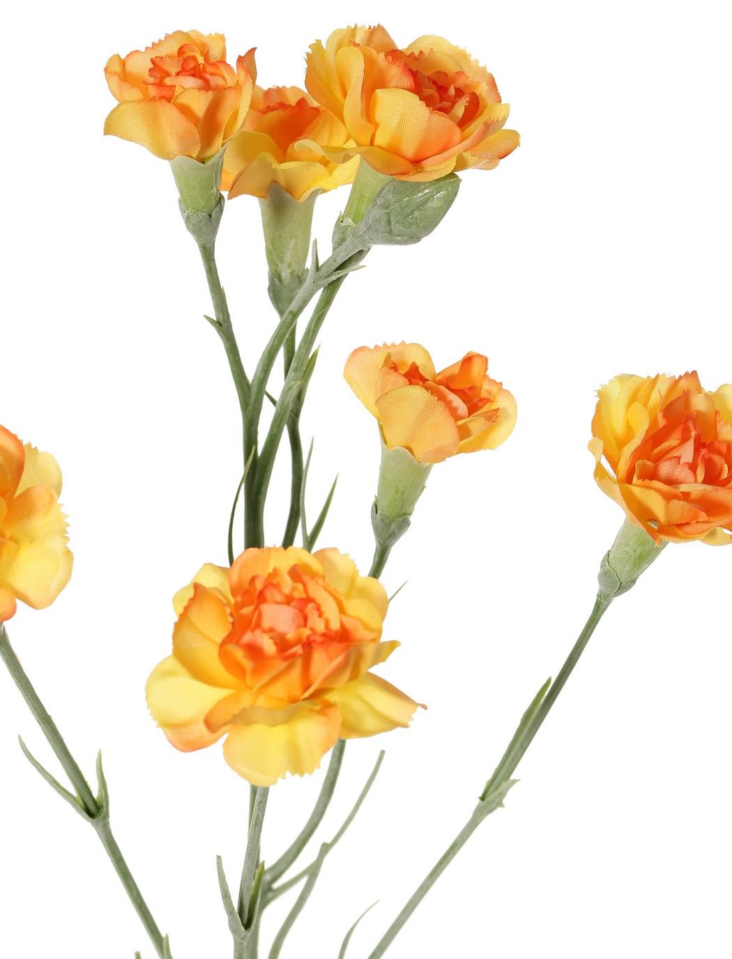 Anjer oranje -H63cm - Afbeelding 2