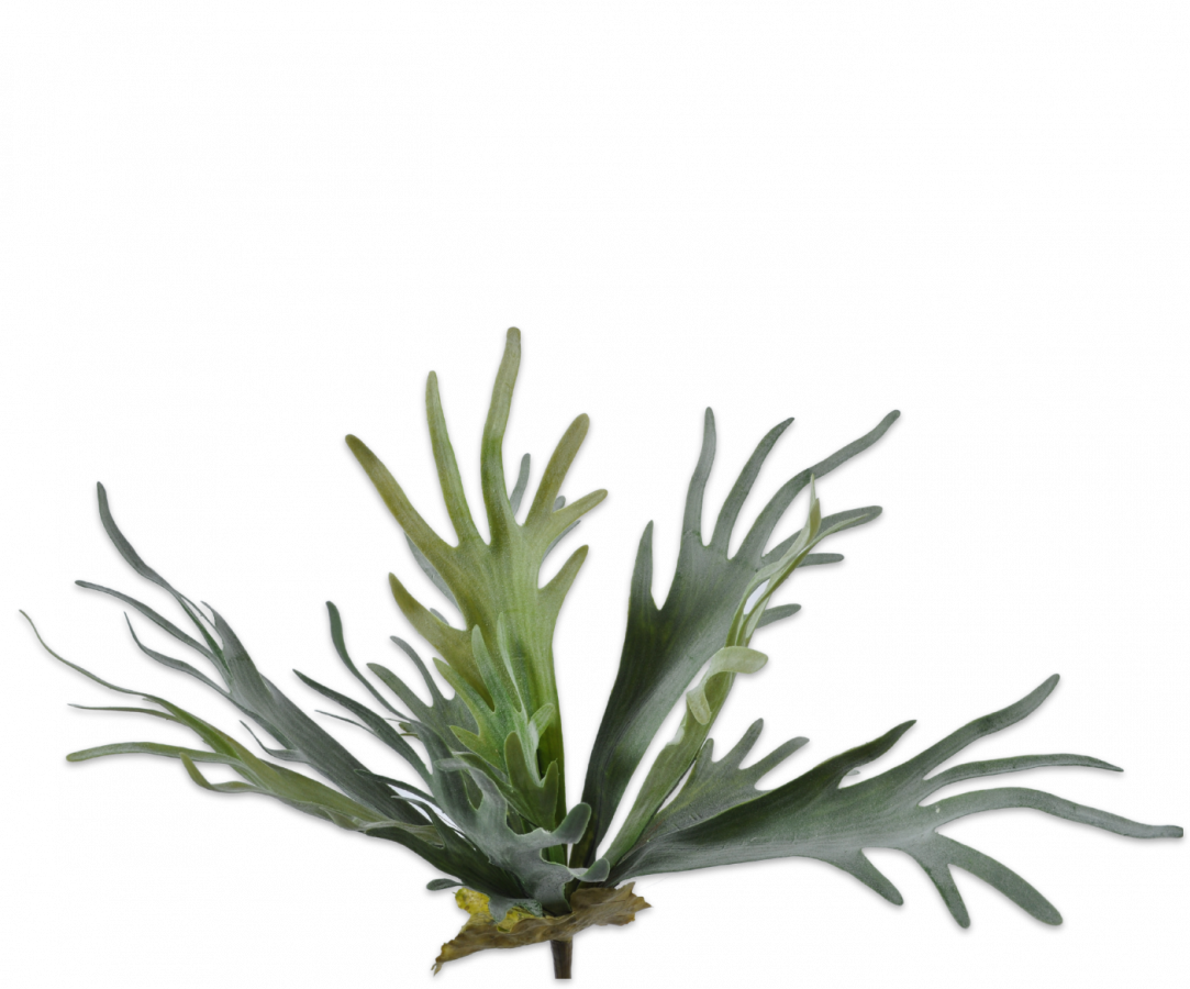 Hertshoorn 48 cm Silkka