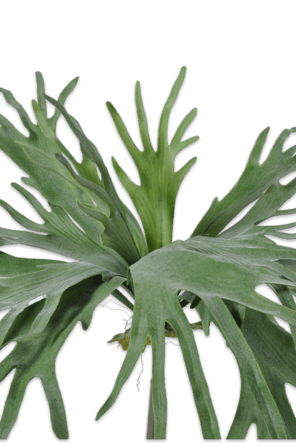 Hertshoorn kunst XL 79 cm Silk-ka