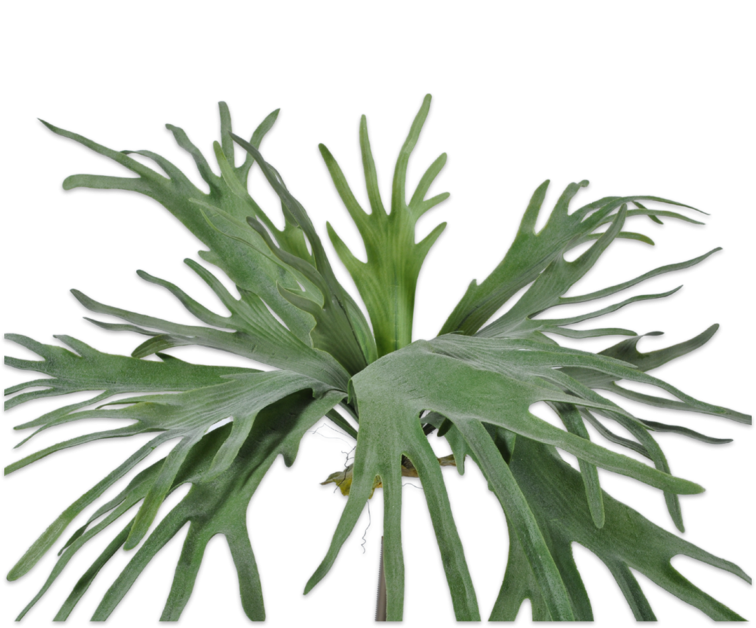 Hertshoorn kunst XL 79 cm Silk-ka