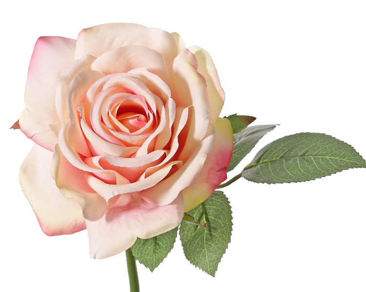 Roos de luxe lichtroze -H30 cm - Afbeelding 2