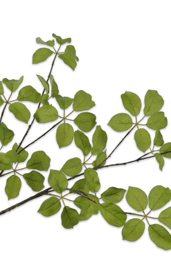 Bladtak groen 120 cm Silk-ka