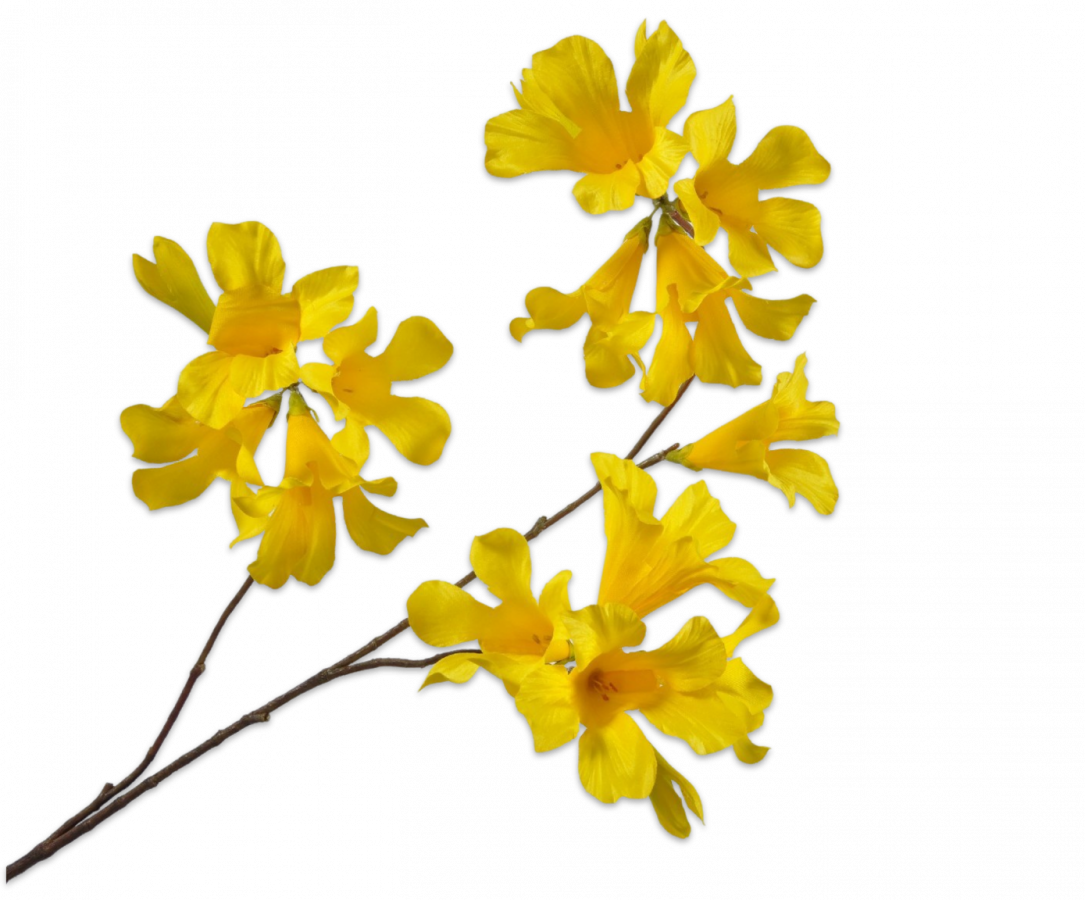 Mandevilla geel 86 cm Silk-ka