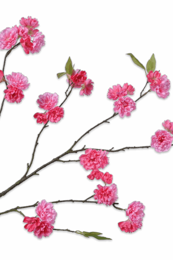 Bloesem tak roze 121 cm Silk-ka