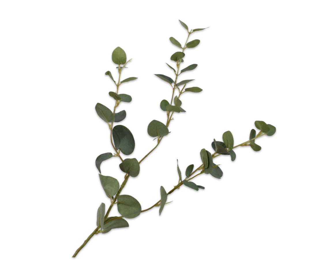 Eucalyptus tak groen 79cm Silk-ka