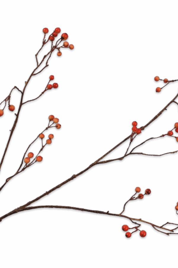 Bessentak oranje 94 cm Silk-ka