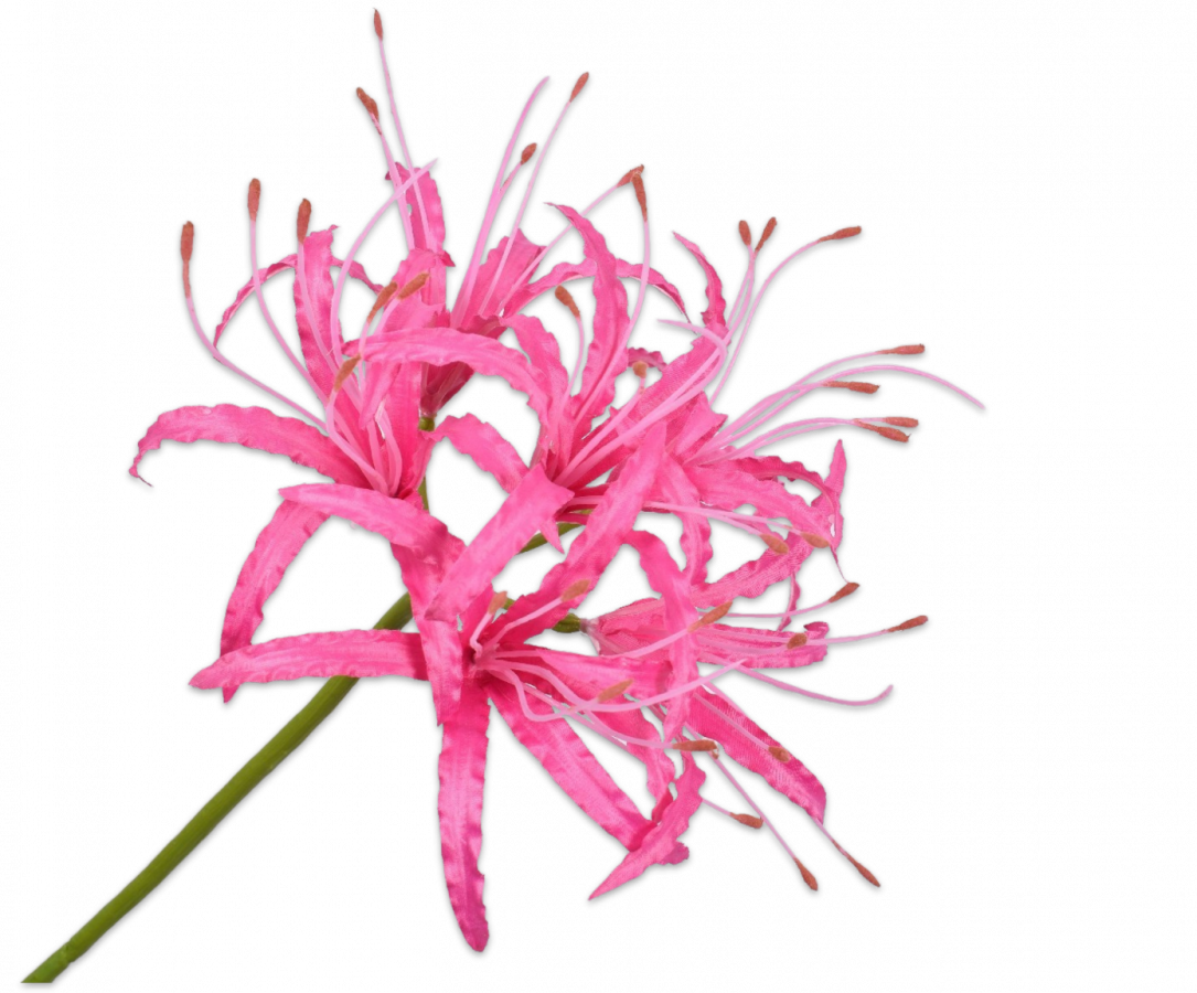 Nerine tak kliplelie fuchsia roze 93 cm Silk-ka