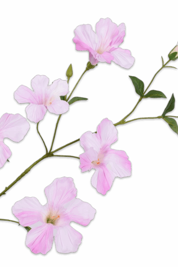 Mandevilla roze 96 cm Silk-ka