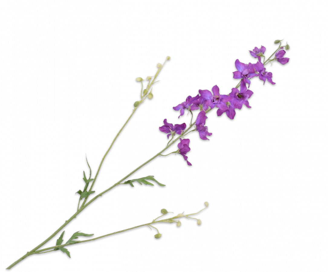 Ridderspoor Delphinium tak paars 101 cm Silk-ka - Afbeelding 2