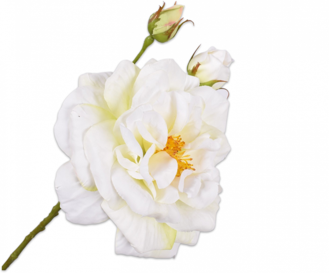 Roos crème 59 cm Silk-ka