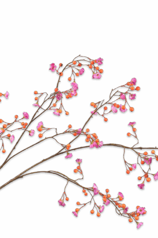 Bessentak oranje/lila 125 cm Silk-ka