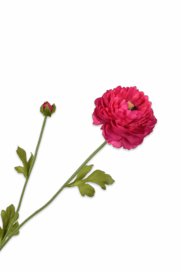 Ranonkel fijn fuchsia roze 64 cm Silk-ka
