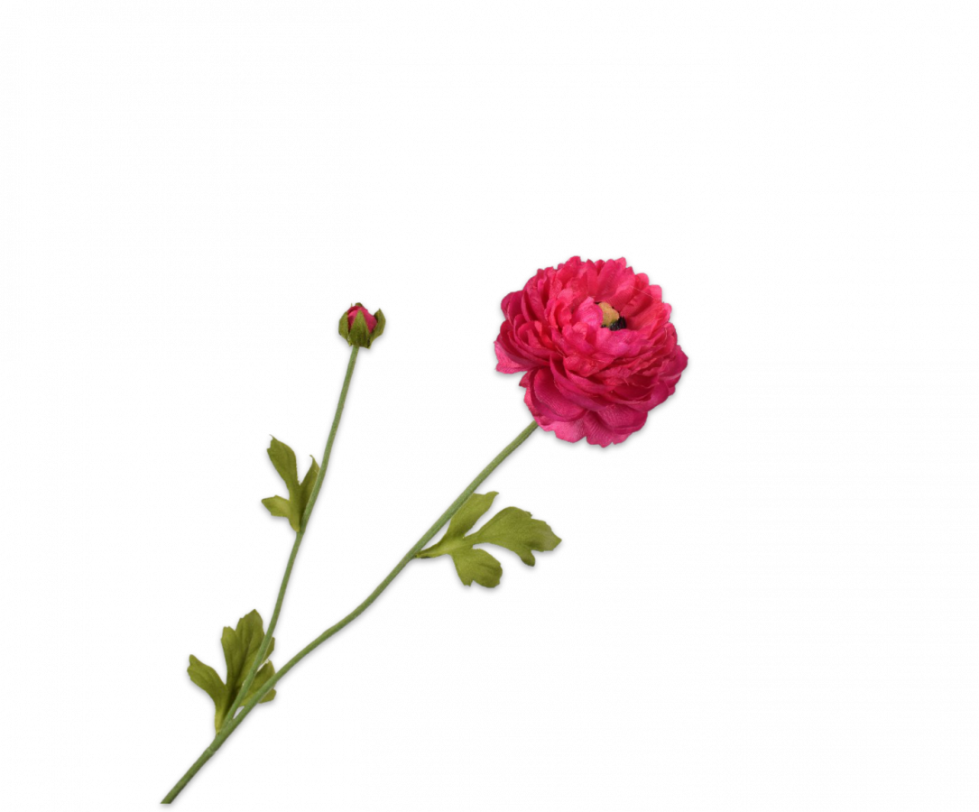 Ranonkel fijn fuchsia roze 64 cm Silk-ka