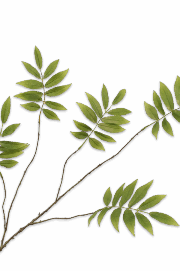 Bladtak groen 107 cm Silk-ka