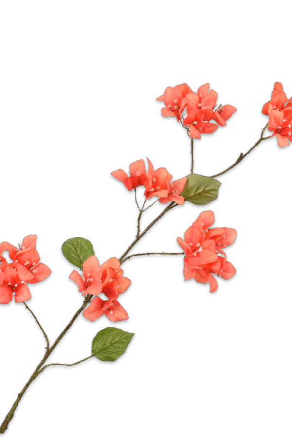 Bougainvillea tak oranje 118 cm Silk-ka