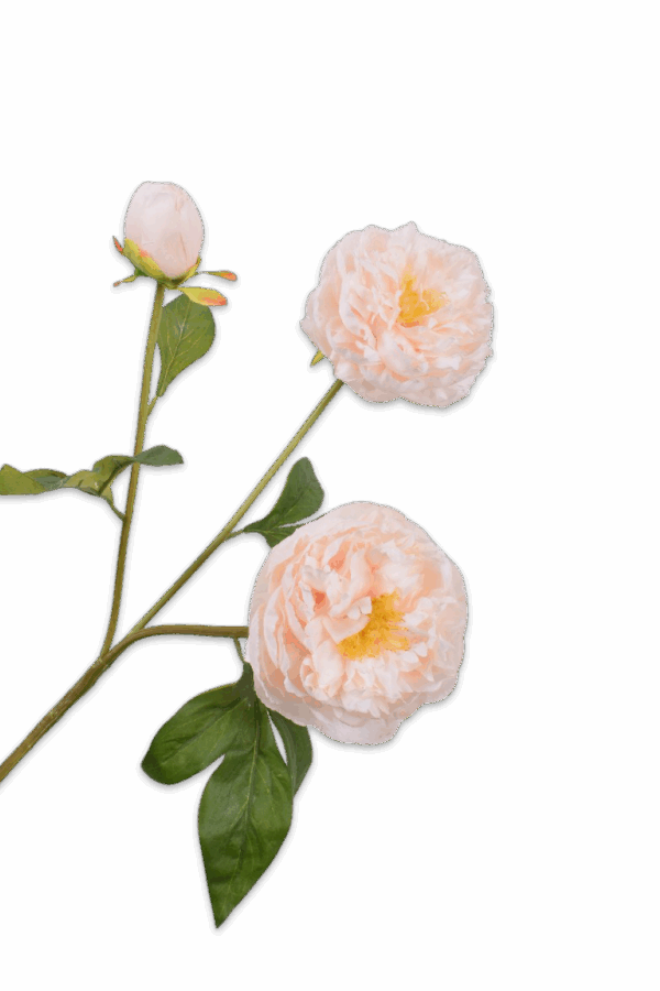 Pioen tak crème 76 cm Silk-ka