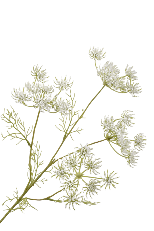 Dille tak wit 62 cm Silk-ka