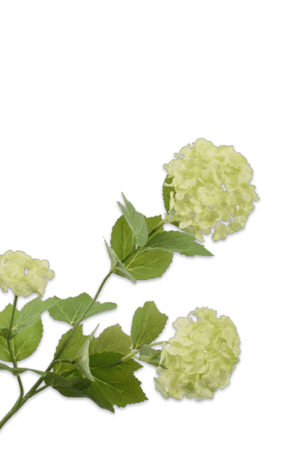 Sneeuwbal viburnum licht groen 61 cm Silk-ka