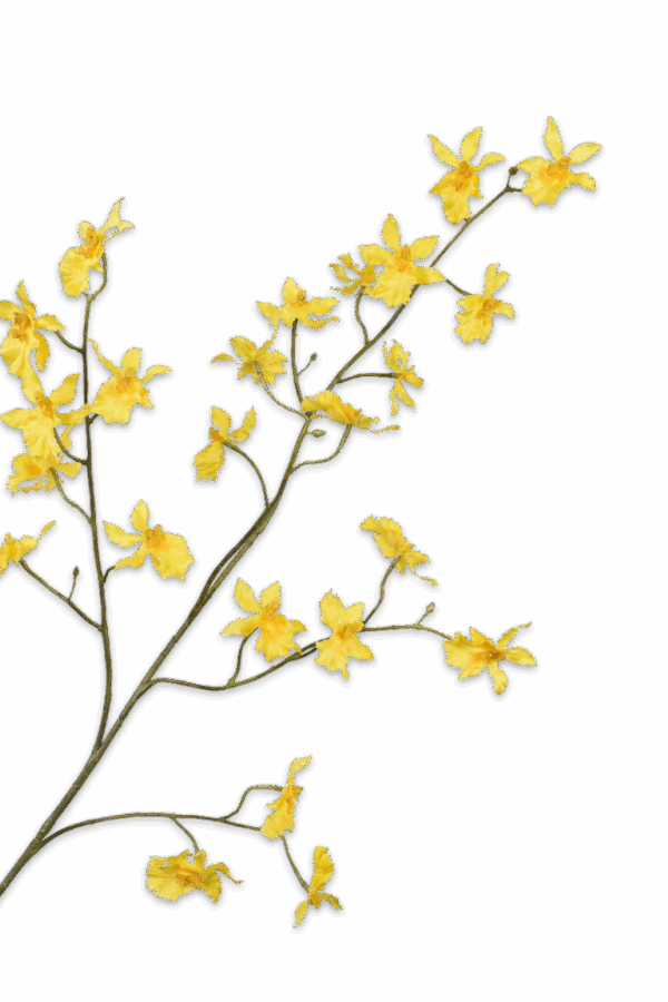 Orchidee geel 100 cm Silk-ka