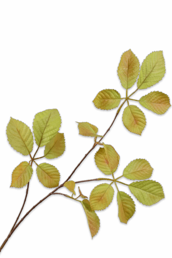 Bladtak groen 74 cm Silk-ka