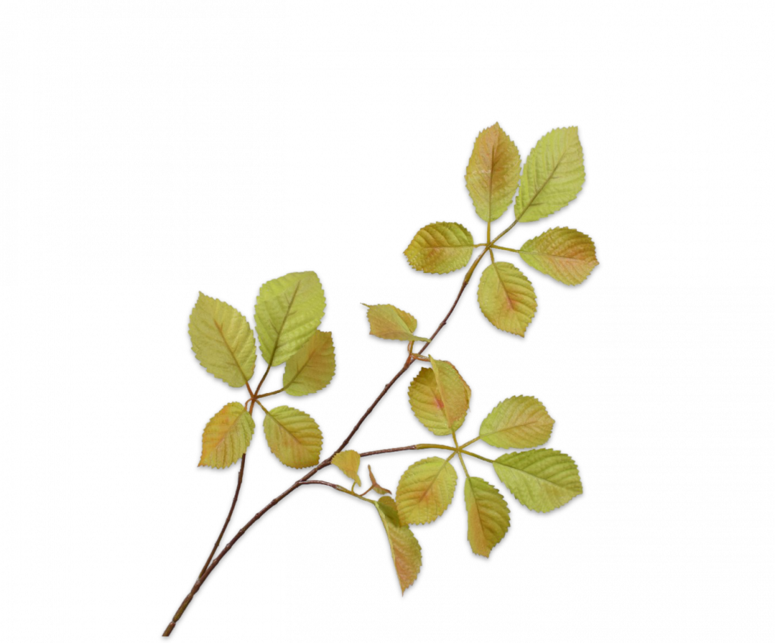 Bladtak groen 74 cm Silk-ka