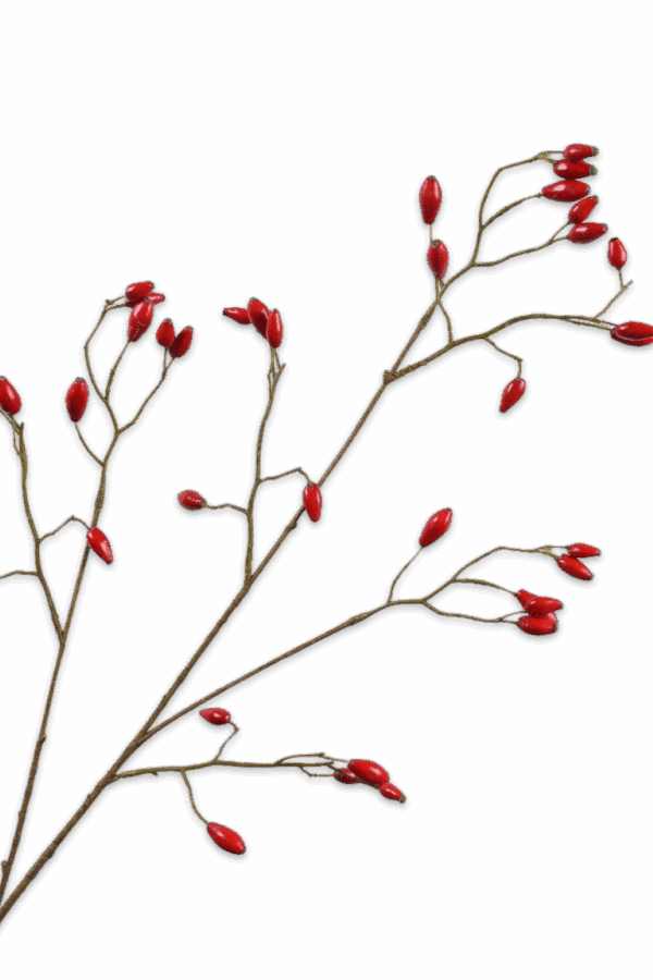 Rozenbottel tak rood 92 cm Silk-ka