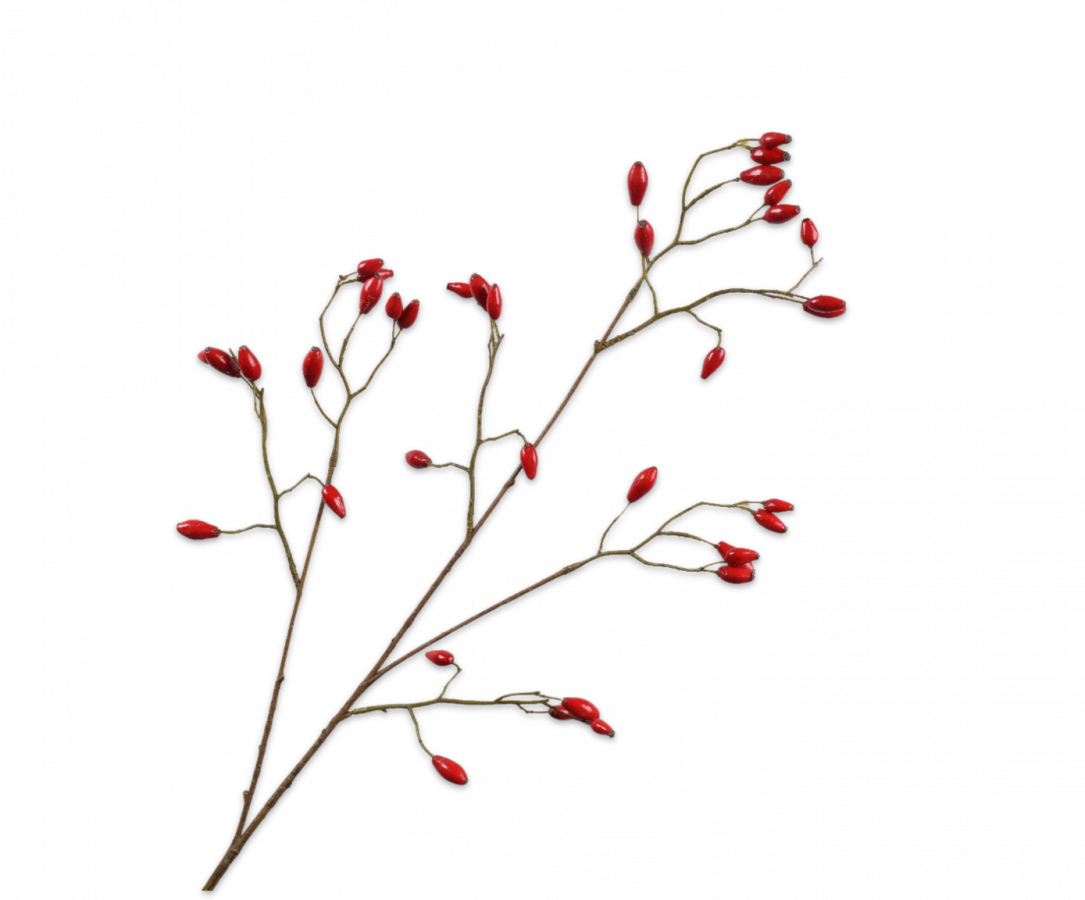 Rozenbottel tak rood 92 cm Silk-ka