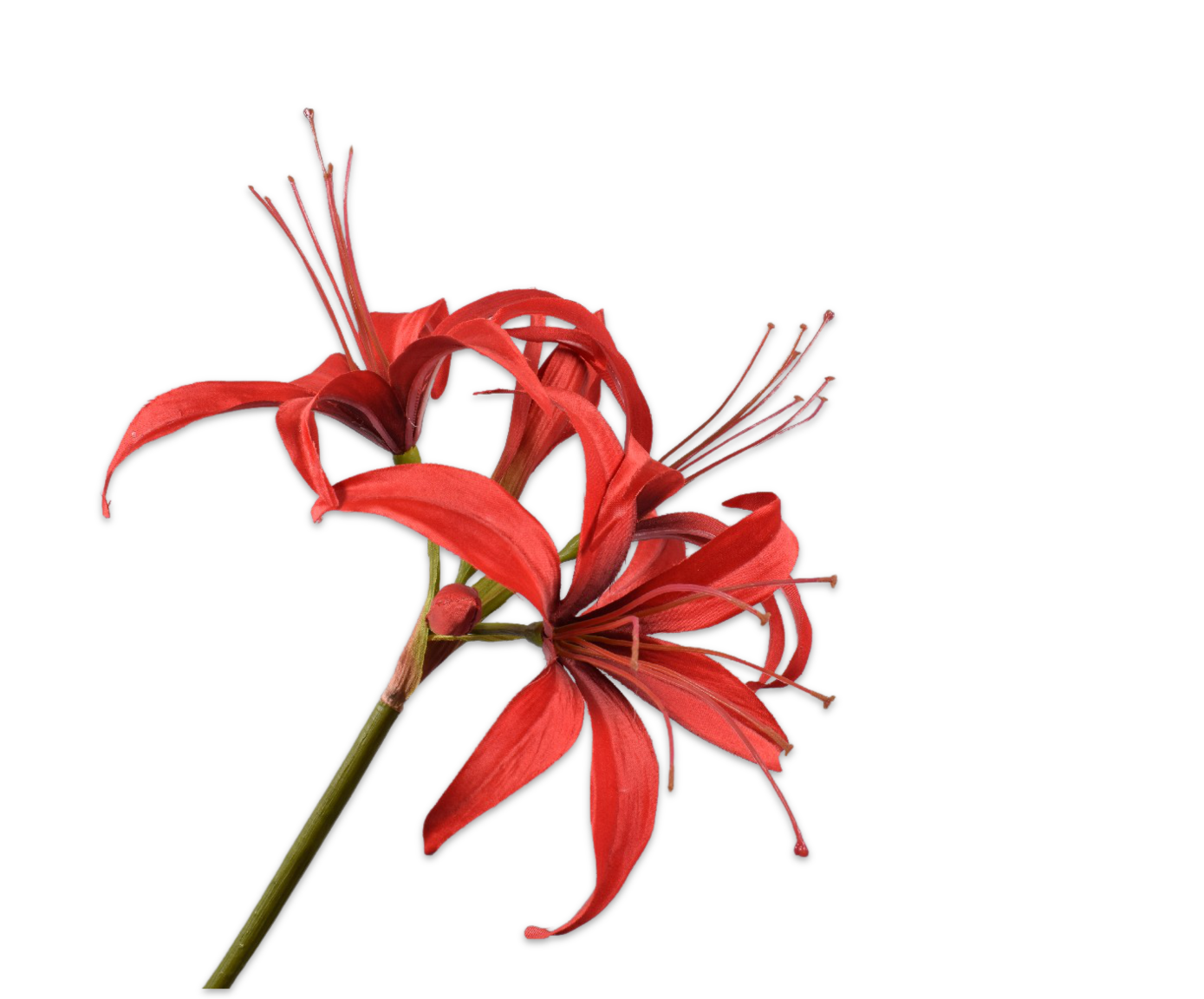 Amaryllis bloem rood 80 cm Silk-ka - Afbeelding 2