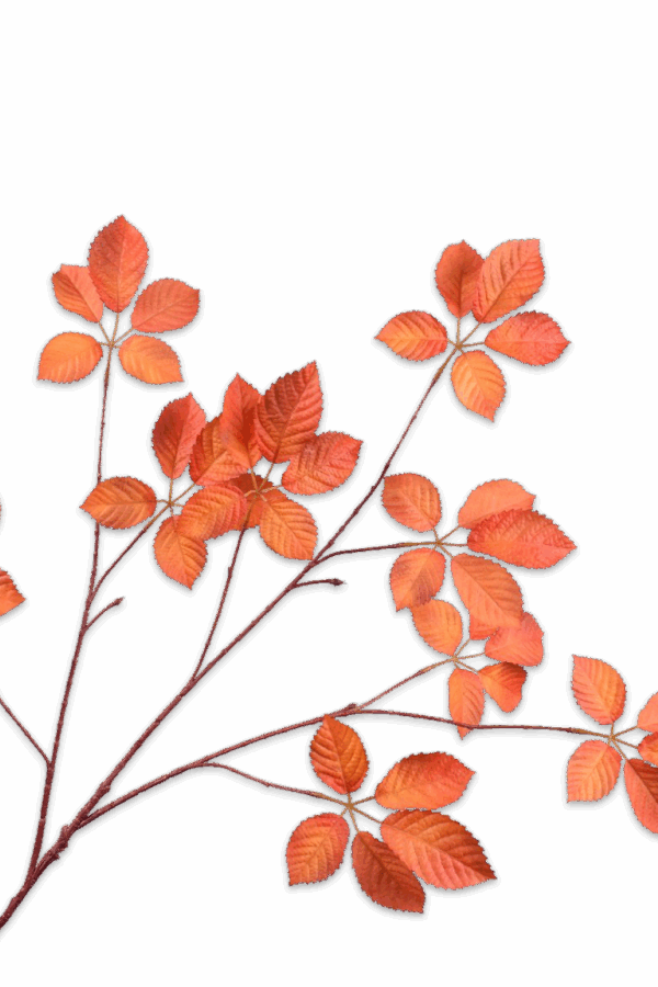 Bladtak oranje 103 cm Silk-ka