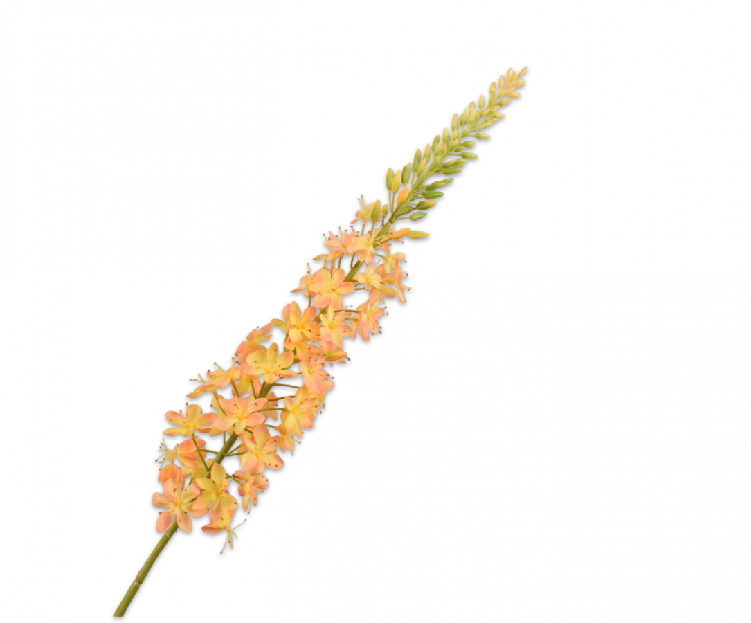 Eremurus steel licht oranje 107 cm Silk-ka