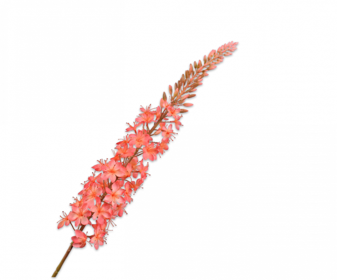 Eremurus steel roze / peach 107 cm Silk-ka