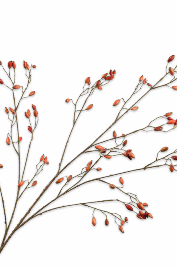 Rozenbottel tak oranje 132 cm Silk-ka