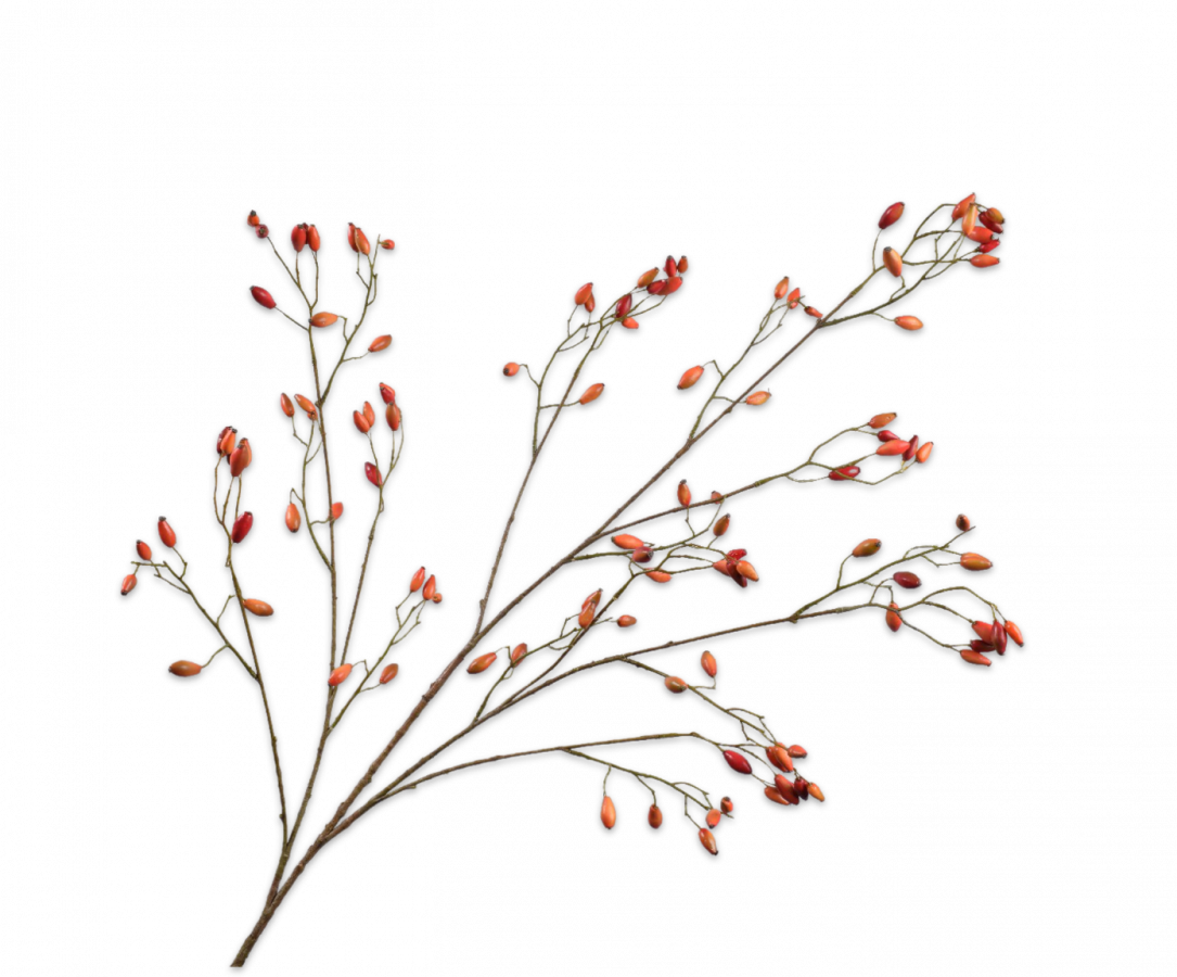 Rozenbottel tak oranje 132 cm Silk-ka
