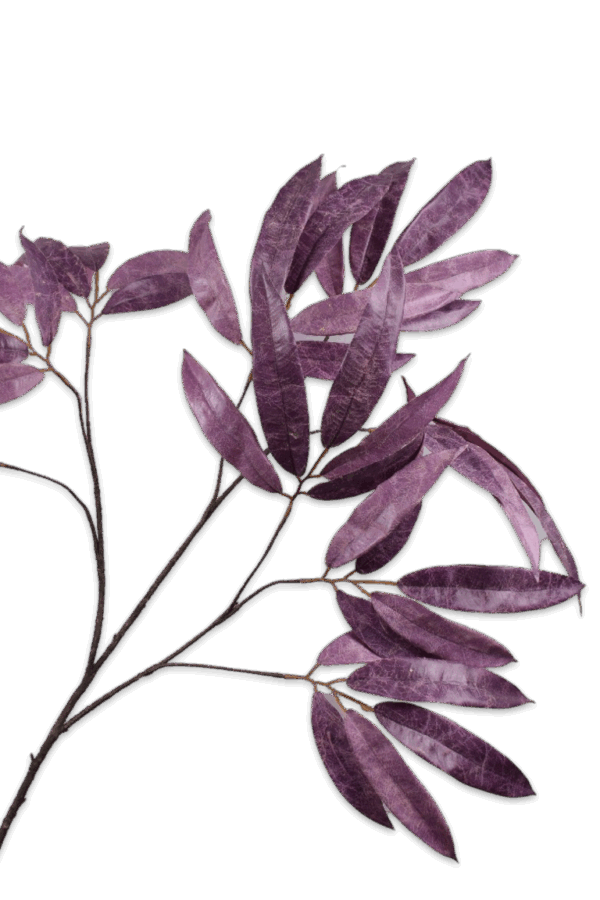 Eucalyptus tak paars 88 cm Silk-ka