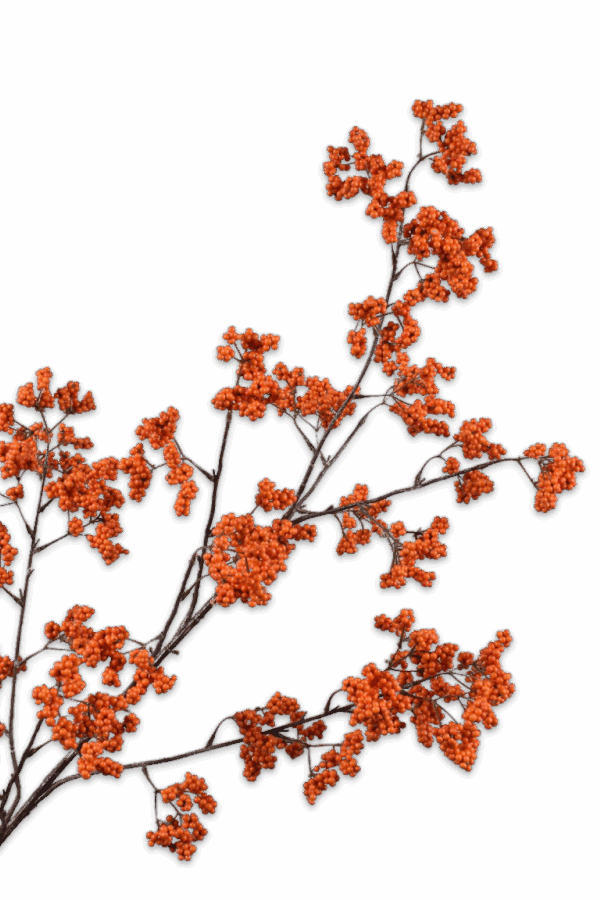 Bessentak oranje 110 cm Silk-ka