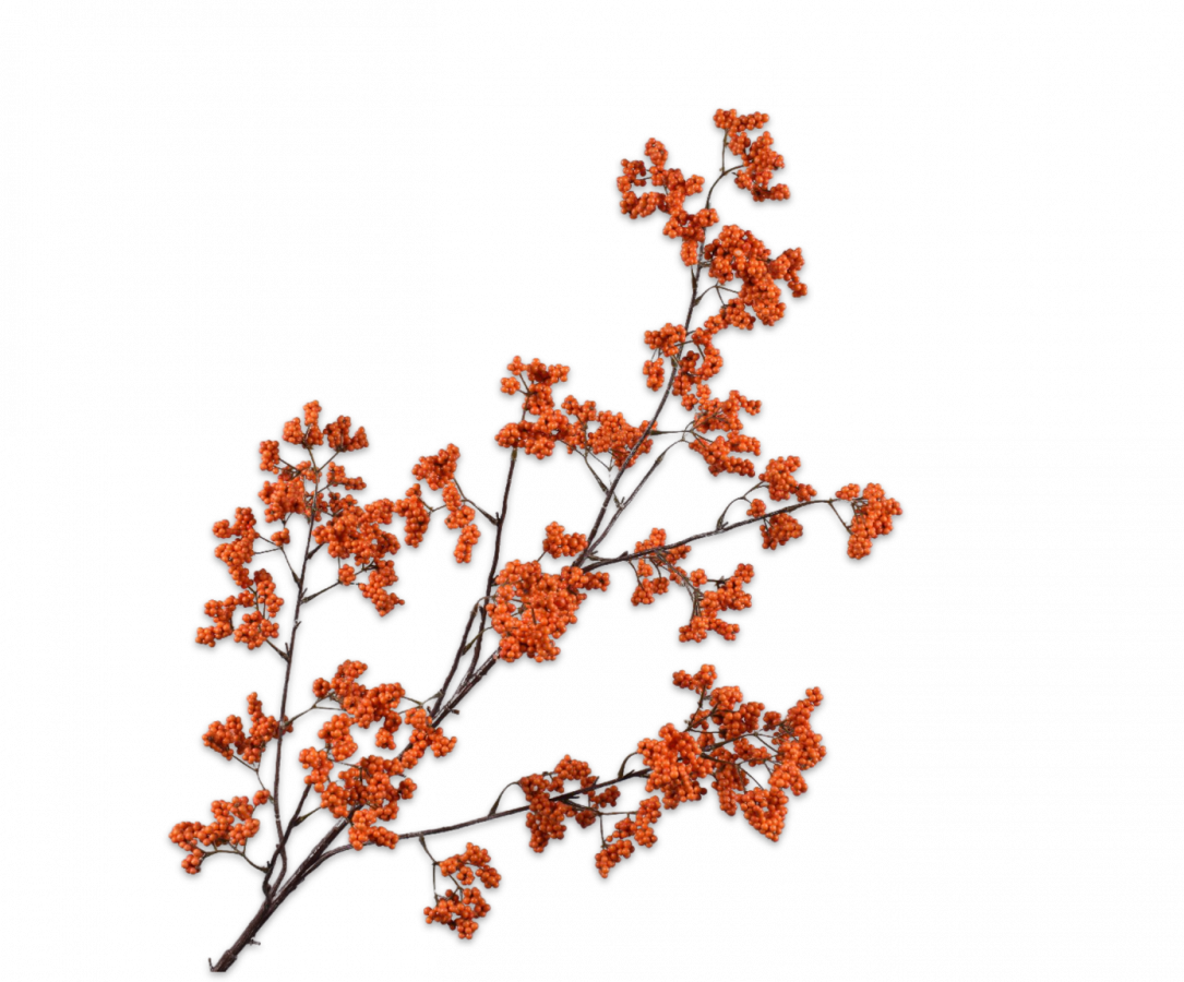 Bessentak oranje 110 cm Silk-ka