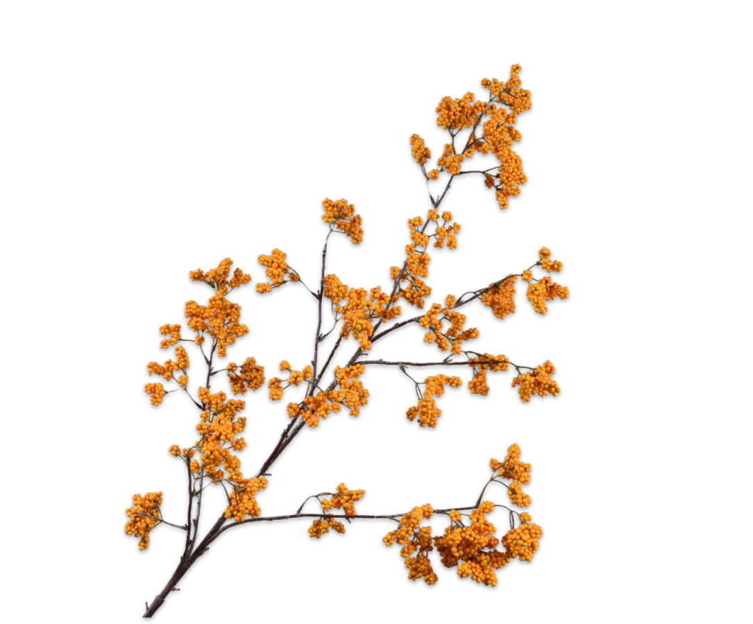 Bessentak geel 110 cm Silk-ka - Afbeelding 2