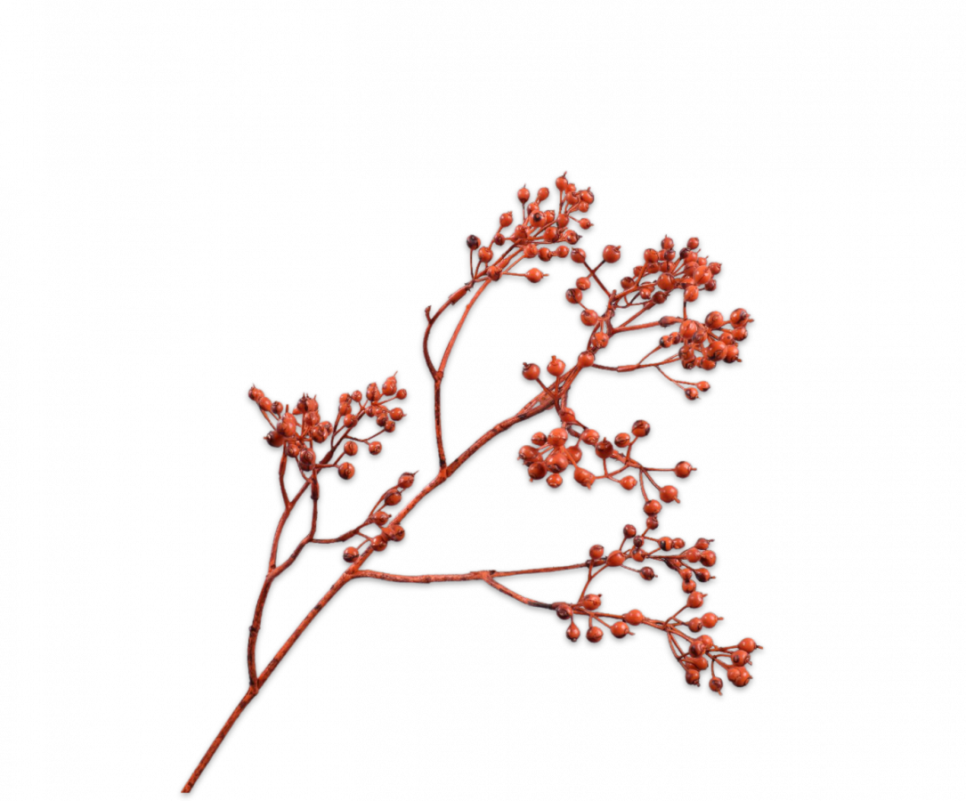 Bessentak oranje 80 cm Silk-ka - Afbeelding 2