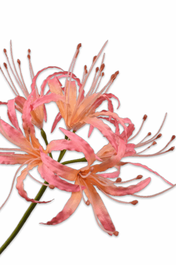 Nerine tak kliplelie roze zalm 93 cm Silk-ka