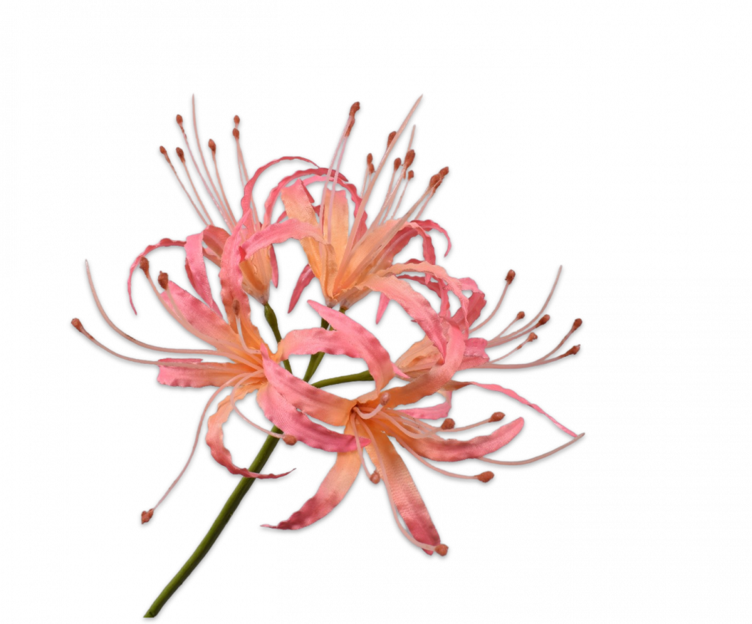 Nerine tak kliplelie roze zalm 93 cm Silk-ka
