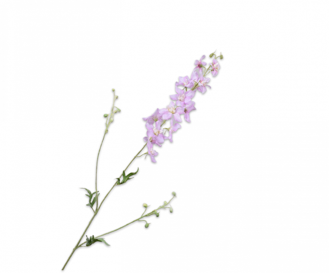 Ridderspoor Delphinium zacht roze 101 cm Silk-ka