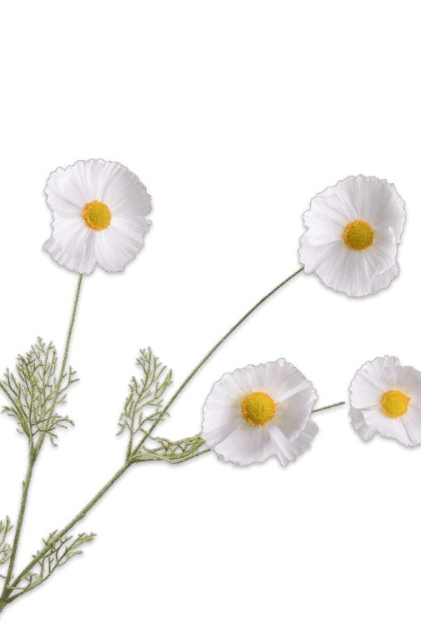 Cosmos wit crème 92 cm Silk-ka