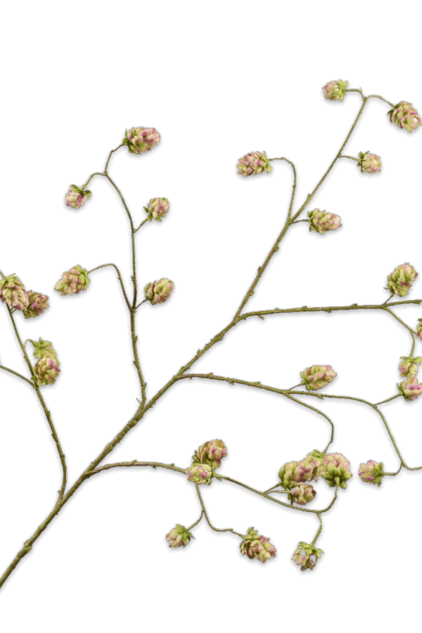 Hoptak hop 135 cm Silk-ka