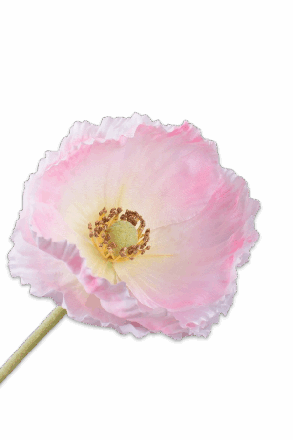 Klaproos steel roze- H73 cm