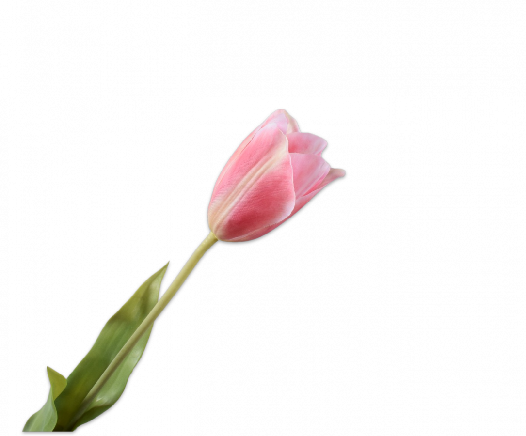 Tulp wit roze 72 cm Silk-ka