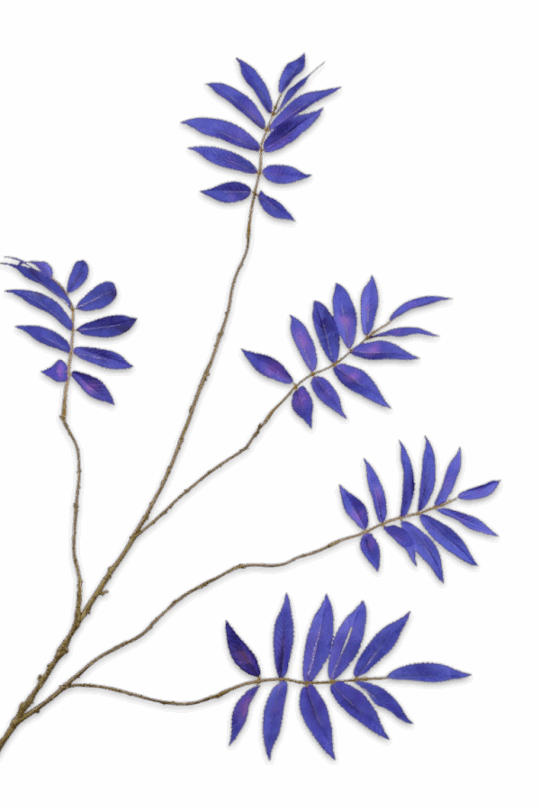 Bladtak blauw 103 cm Silk-ka