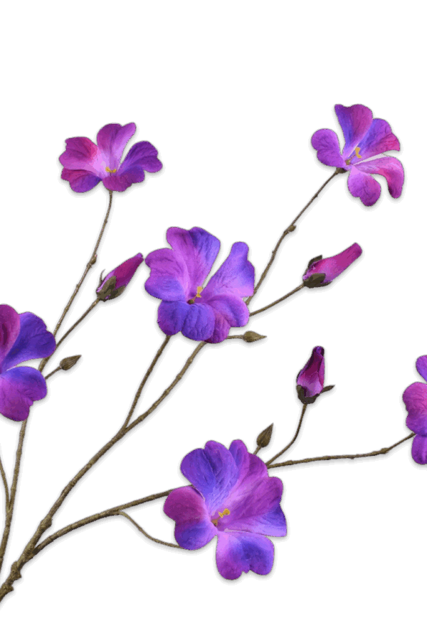 Petunia tak paars/roze 95 cm